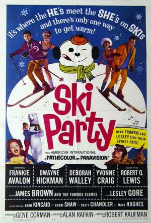 Ski party poster