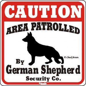 German Shepherd